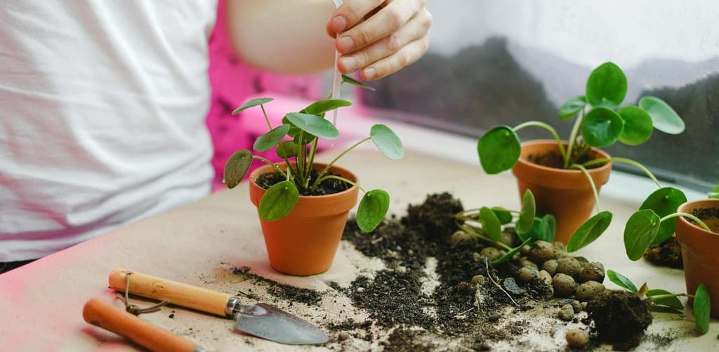 A close-up overhead view of a row of small terracotta orange plastic plant pots filled to the brim with rich dark loose potting soil arranged closely together on a flat surface awaiting seedling transplants ready for the new growing season under soft natural daylight, the cultivation and growth metaphor for the long-term advantages of employee stock ownership plans that accumulate over years of compounding allocations and rising valuation
