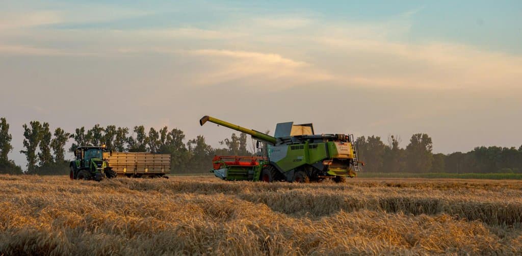 A large green-and-yellow combine harvester with raised unloader spout works through a golden field of ripe wheat at sunset alongside a tractor pulling a long wood-sided grain trailer with low tree line and cloud-streaked sunset sky in the background, the harvest reaping metaphor for the long-term distribution payout that an esop ultimately delivers to every vested employee participant