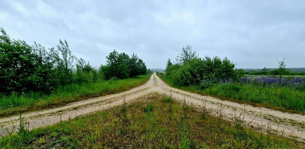 Two dirt roads diverging in a misty field, illustrating the choice between a UCC lien vs blanket lien on a business loan